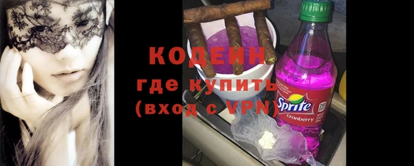шишки Гусев