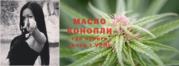 шишки Гусев