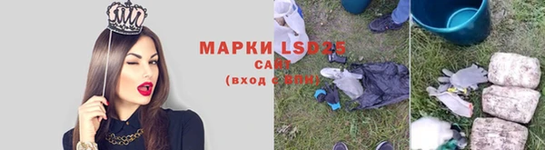 шишки Гусев