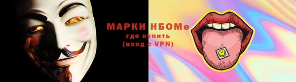 шишки Гусев