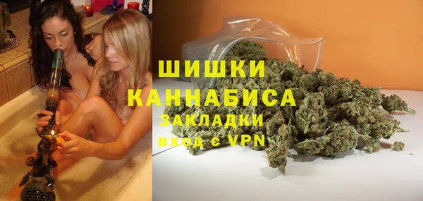 шишки Гусев