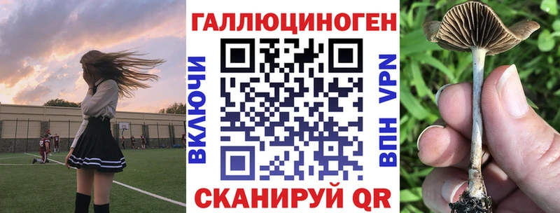 Купить  Новотроицк  Галлюциногенные грибы Magic Shrooms 