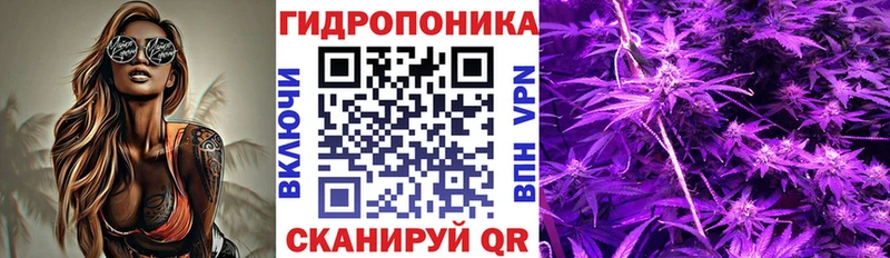 Бошки марихуана сатива  Купить  Новотроицк 